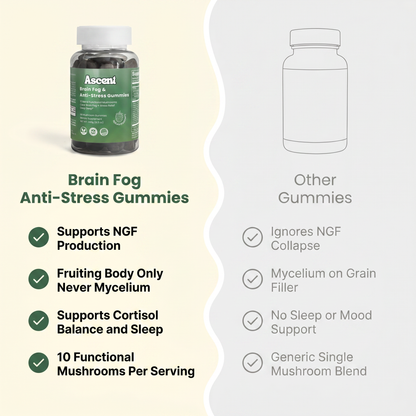 Brain Fog &  Anti-Stress Gummies