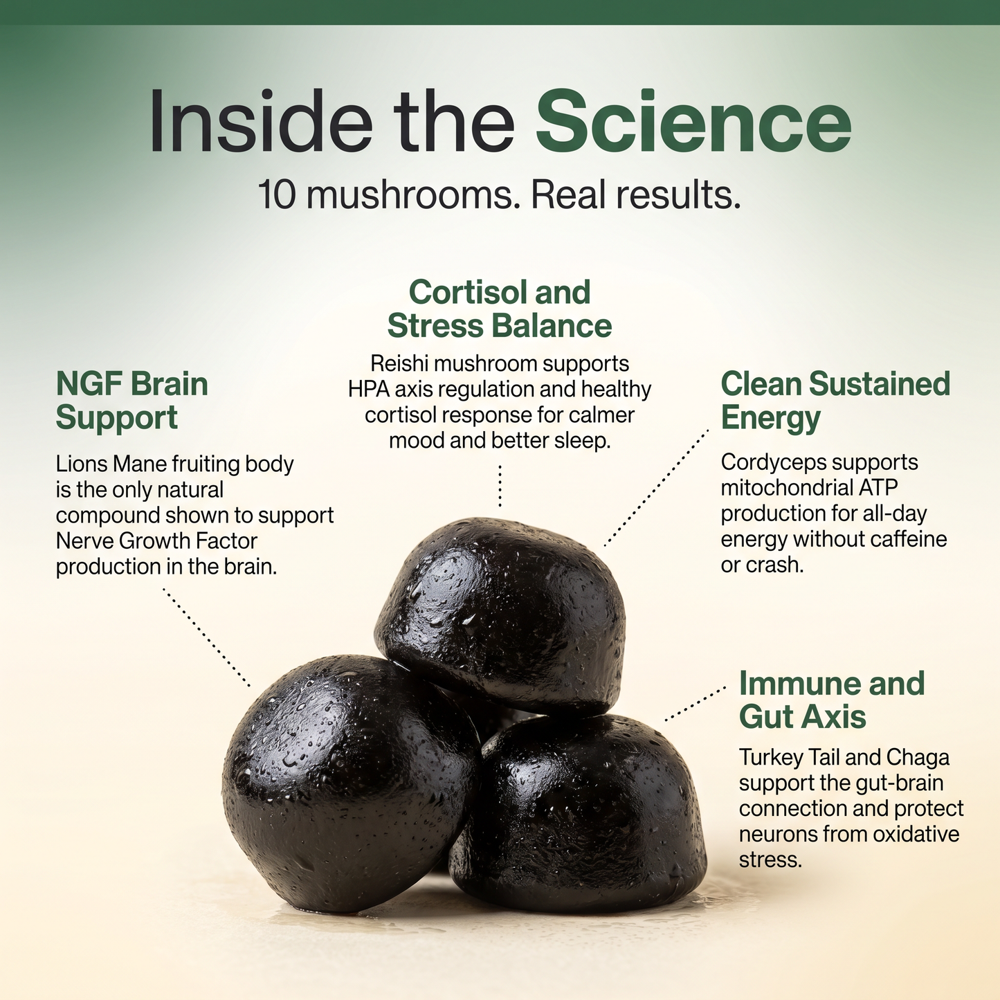 Brain Fog &  Anti-Stress Gummies